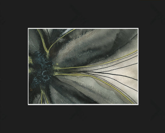 Botanical Form III Print