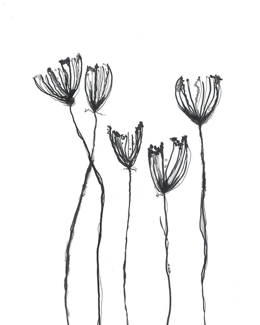 Wild Flowers in Black and White Original